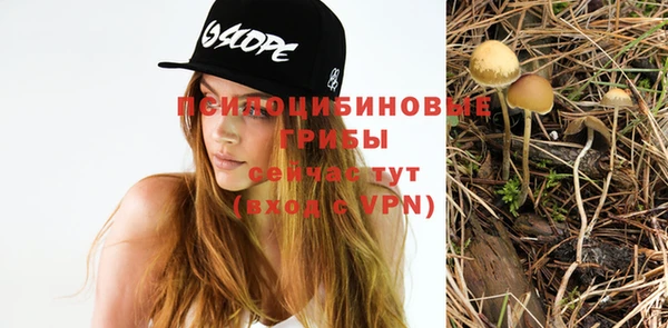 винт Зеленокумск