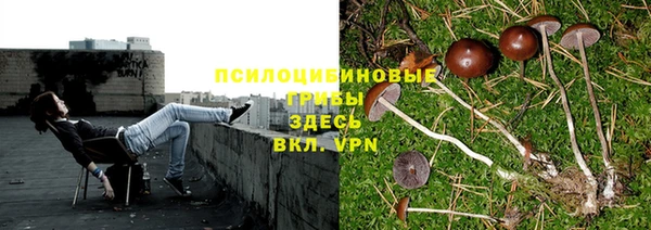 ALPHA-PVP Зеленодольск